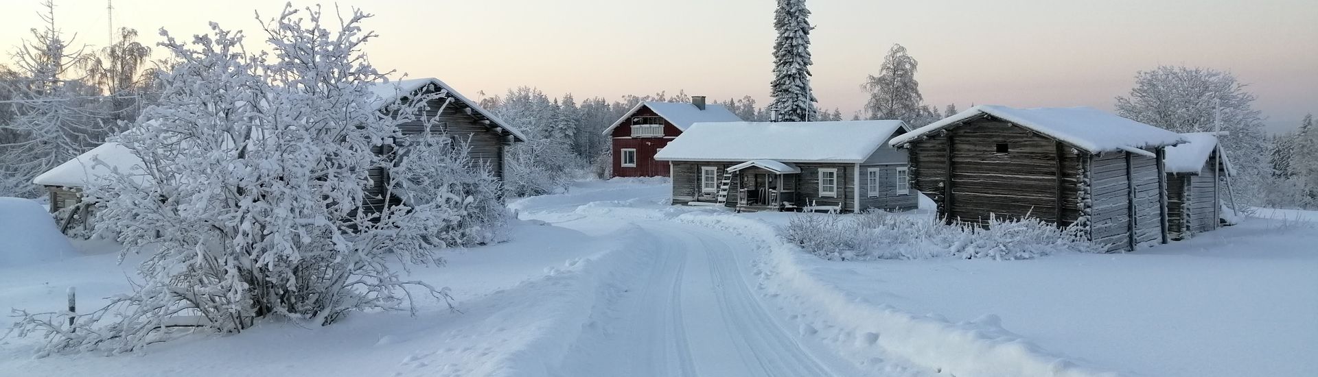 Marjo-Riina Häkkinen