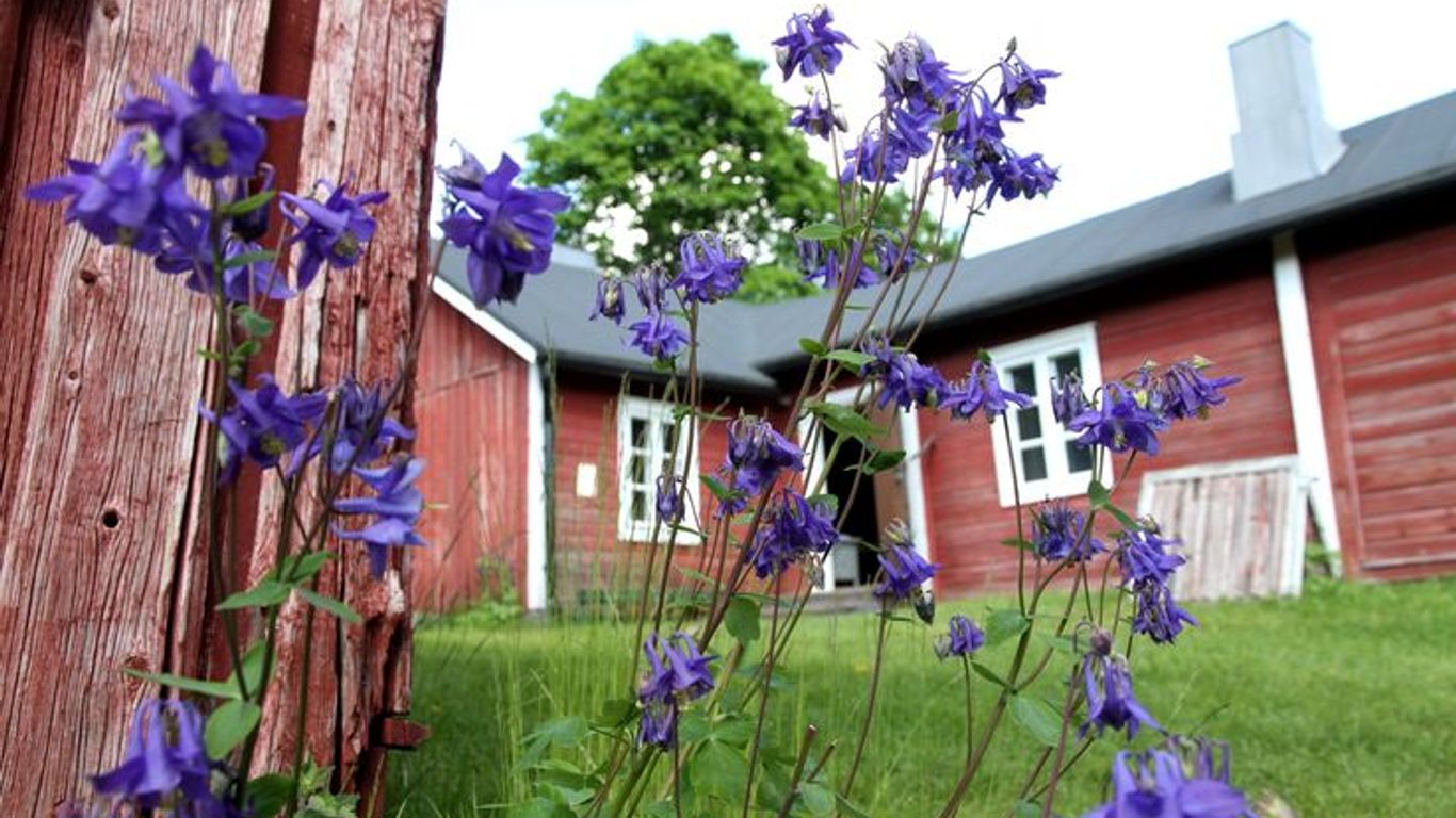 Ronttismäen tehtaalaismuseon pihapiiriä
