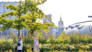 CO-CARBON final seminar: Where is urban green in climate action?