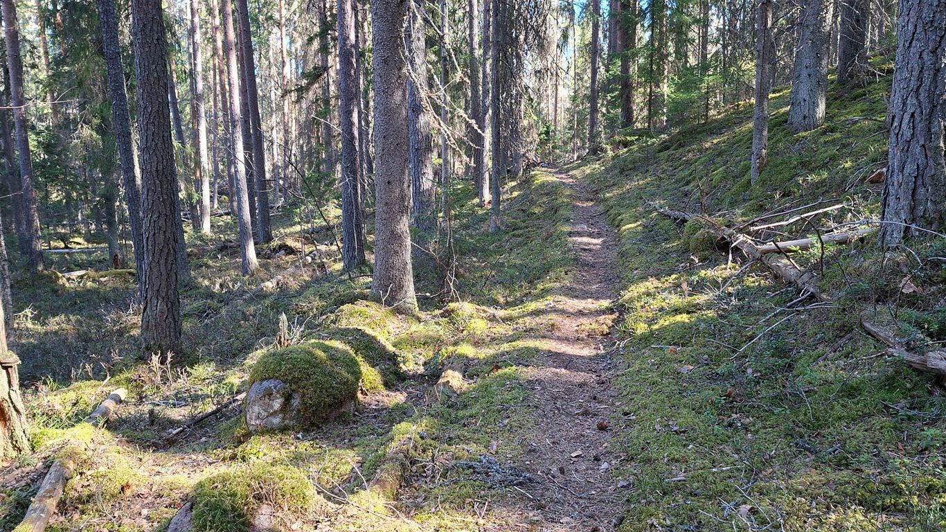 Luontoretki Käpälämäkeen