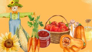 Viikki Local Food Fair - Harvest edition