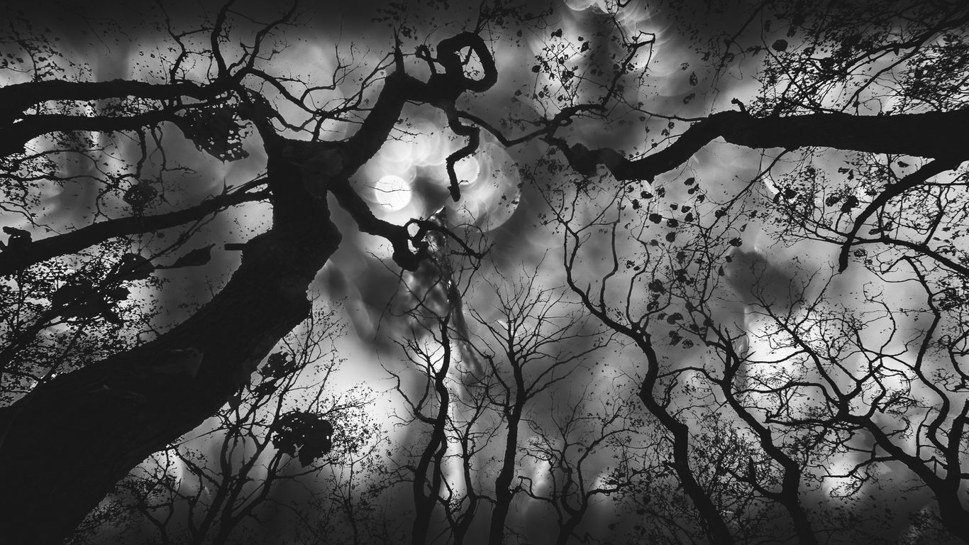 LUONTO365 Riihimäki - Uusia ideoita ja näkökulmia luontokuvaamiseen