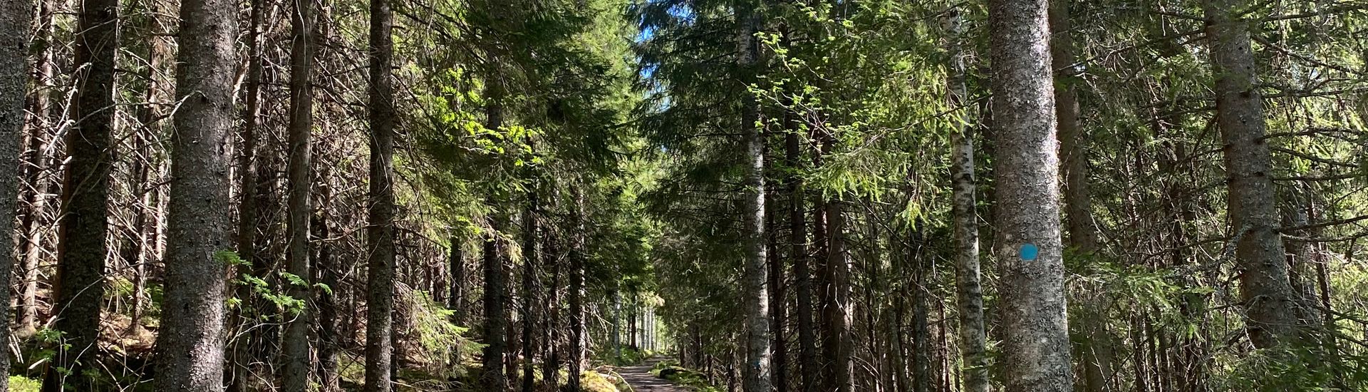 Kolin luontokeskus Ukko
