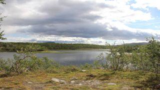Liva Trasune: Reconstructing late-Quaternary climate patterns from northern European plant macrofossil records