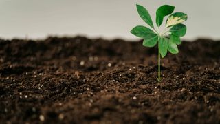 Mitä väliä kasvatuksella? Miestutkimuspäivän esiseminaari