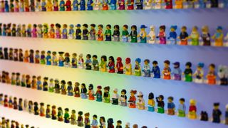Heterogeneity and variation in cognition, language, and behavior