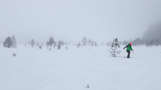 Puun liikkeessä - Ilmastotyöpaja yläkoululaisille