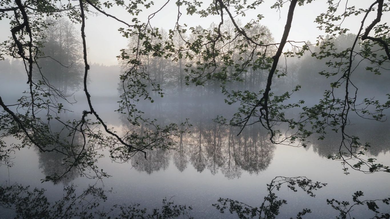 Kuvituskuva