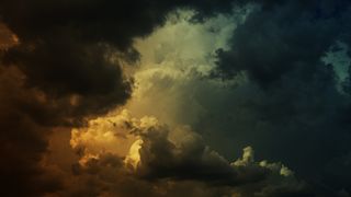 Meaningful Deathscapes: Grieving More-than-Human Deaths