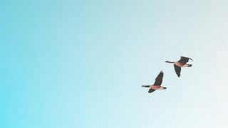 Aleksanteri Conference 2026: "Mapping Security in Central and Eastern Europe and Eurasia: Fault Lines and Frontlines"