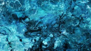 Affective Canons – The formation and contestation of normative and resistant feelings