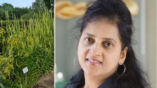 Lecture of visiting Prof. Namrita Lall: Coloring Nature’s Pharmacy: Bioactive Plant Pigments and Their Therapeutic Potential