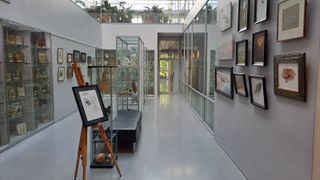 Monilahjakkaan eläinlääkärin taidenäyttely Viikissä