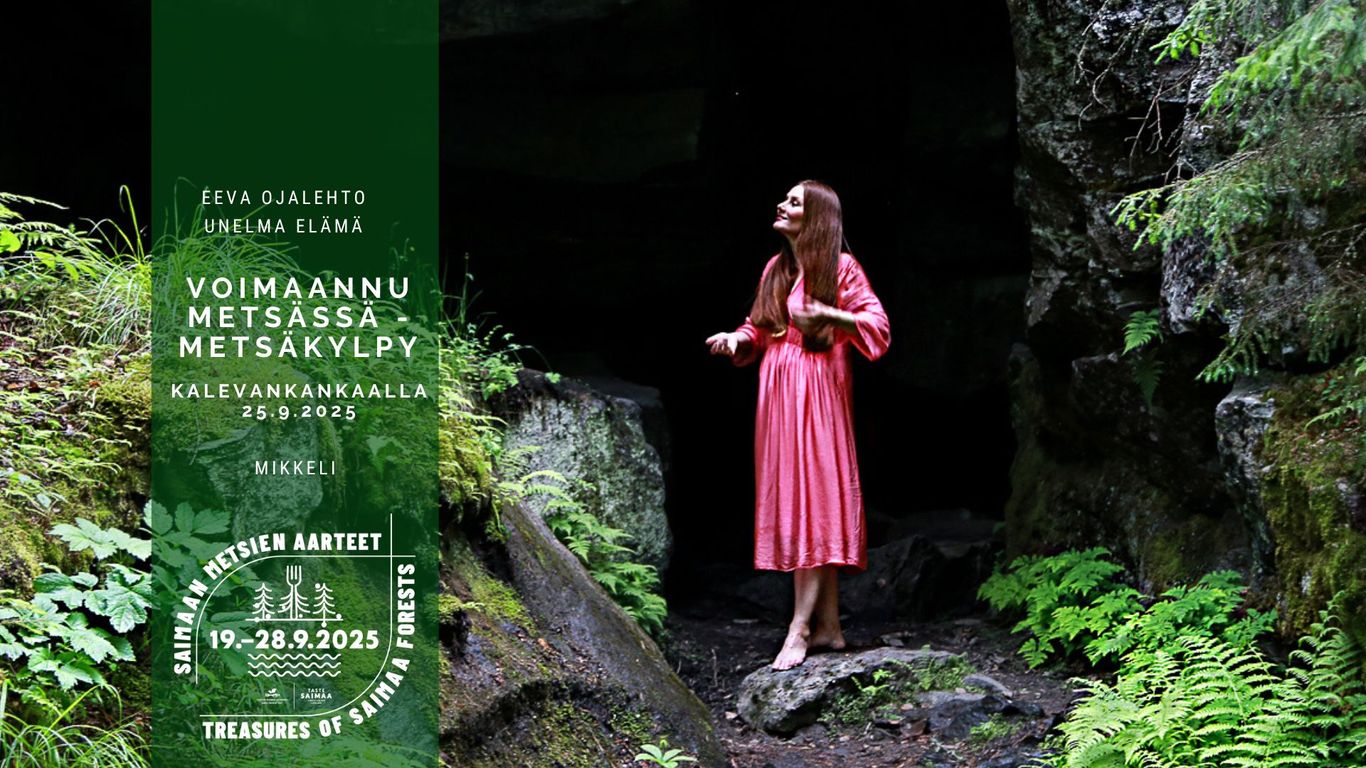 Voimaannu metsässä - Metsäkylpy