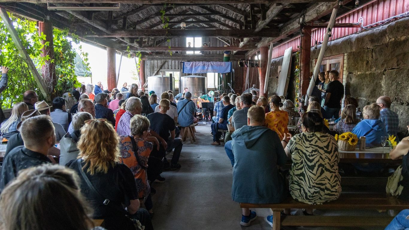 Ollinmäen Viinitilalla FOLK-festivaalit la 9.8. klo 14.30-22 ilmaiskuljetus Mikkelistä ja Anttolasta