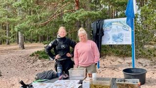 Go snorkeling in Hanko