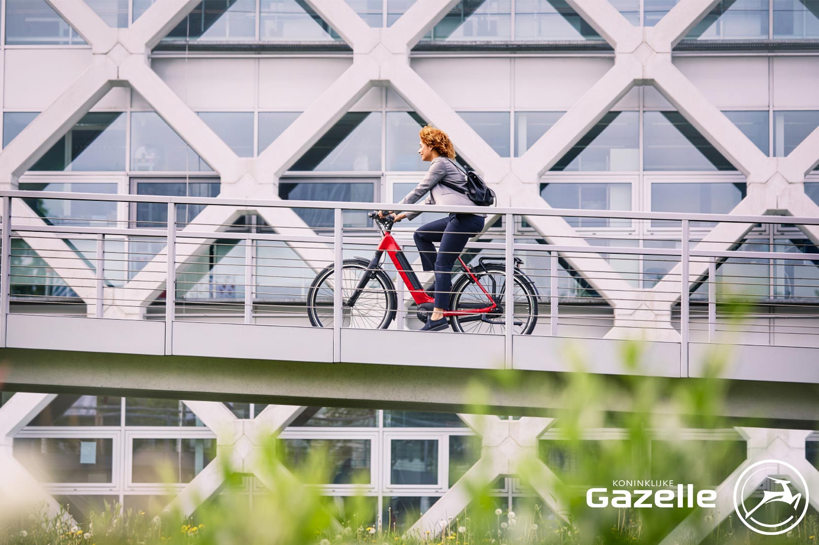 Fahrrad-Trend