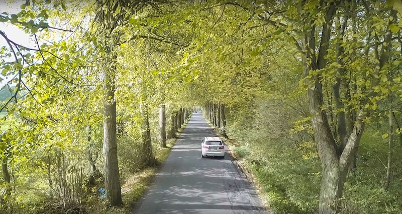 Allee-w800px.jpg