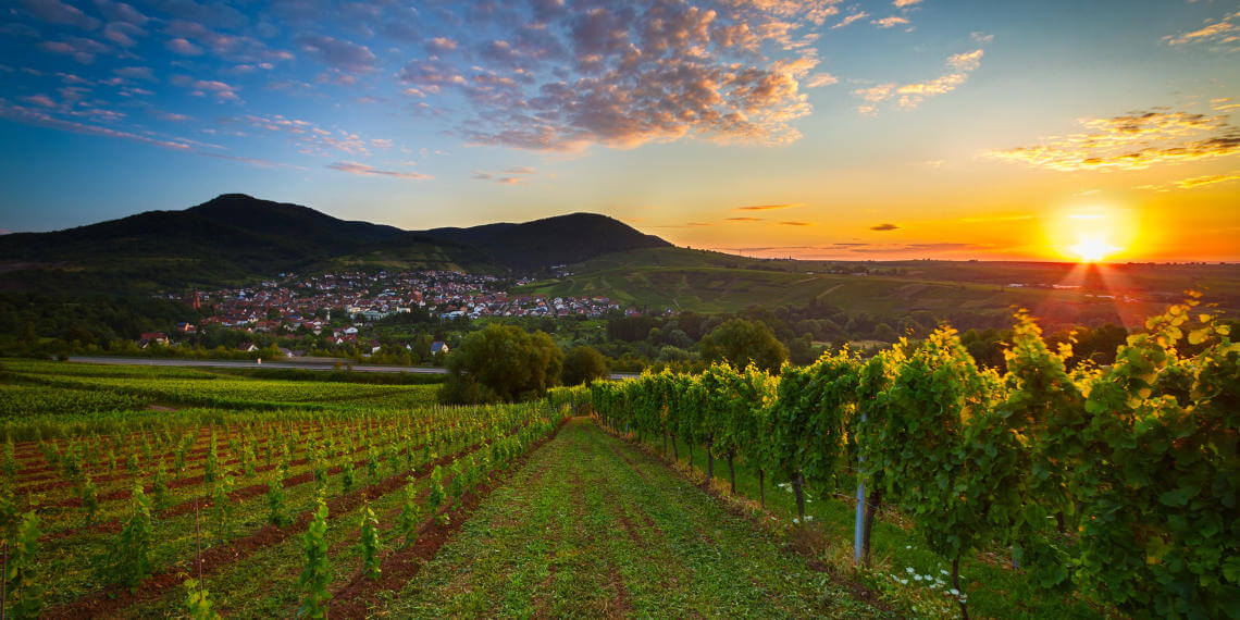 Entdecke das Urlaubsziel Pfalz mit dem Fernbus Urlaubsziele in der Pfalz mit dem Fernbus bereisen