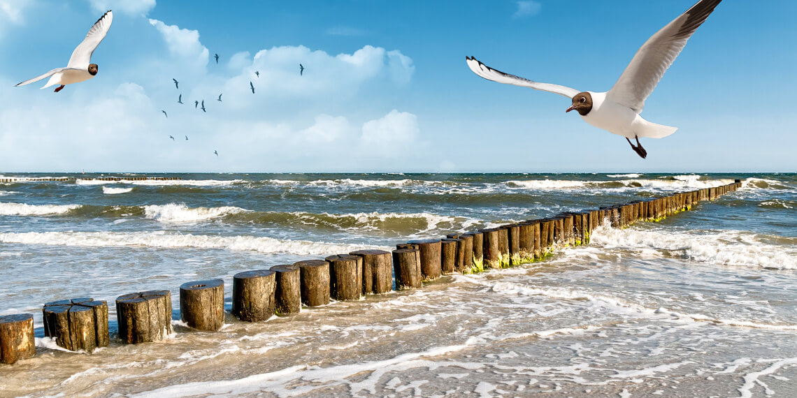 Günstig ans Meer in Mecklenburg Vorpommern Reise günstig mit dem Fernbus an die Ostseeküste von Mecklenburg-Vorpommern