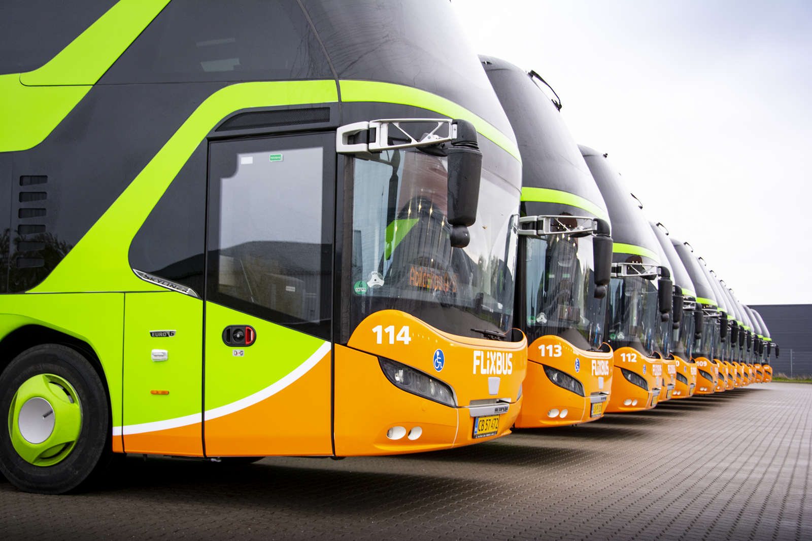 FlixBus sätter in fler bussar under julledigheten FlixBus sätter in fler bussar under julledigheten