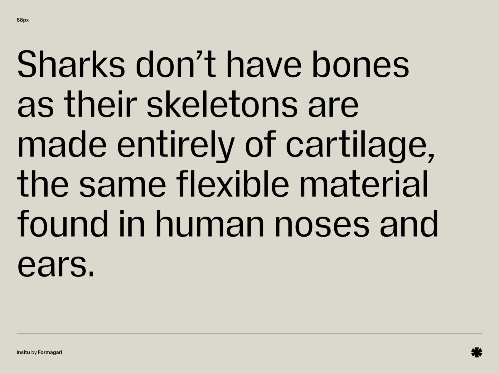 Formagari — Insitu – Insitu paragraph