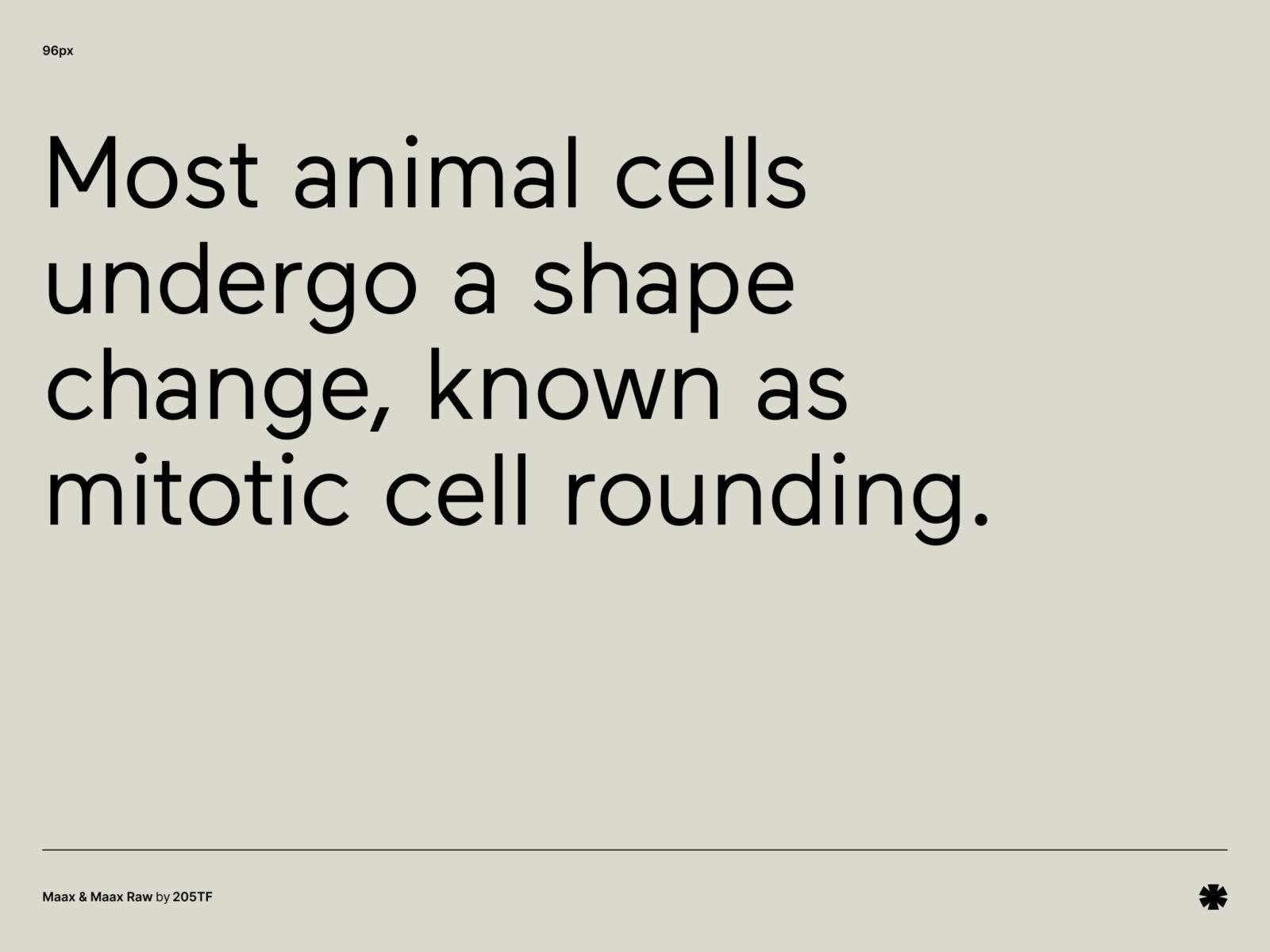 205TF — Maax – Maax paragraph