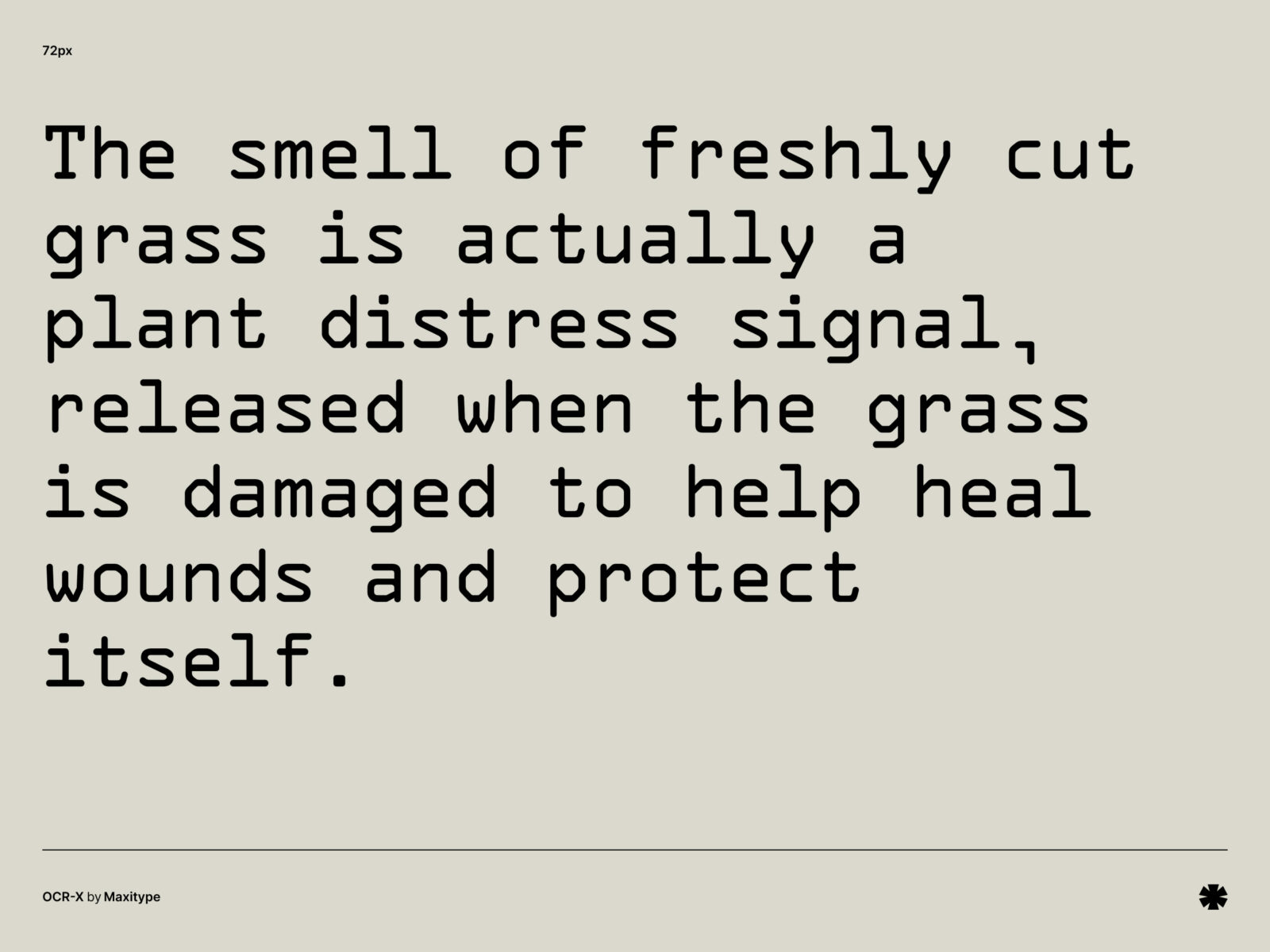 Maxitype — OCR-X – Ocr x paragraph