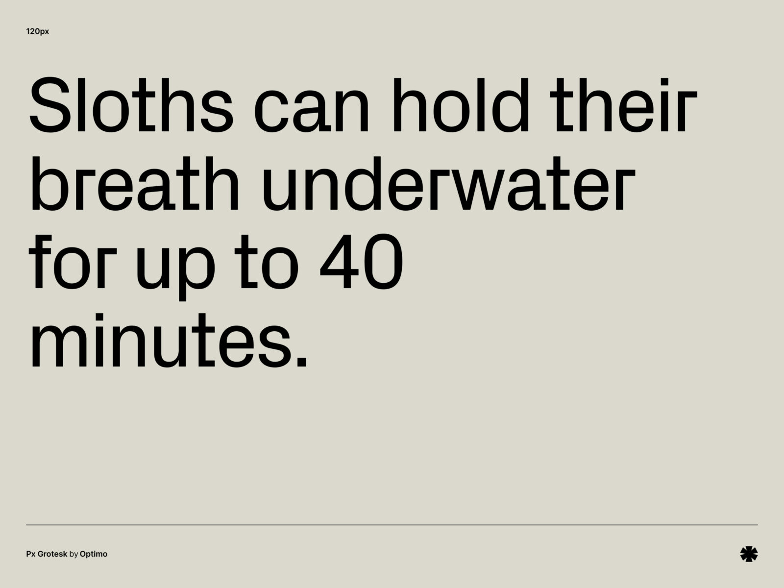 Optimo — Px Grotesk – Px grotesk paragraph