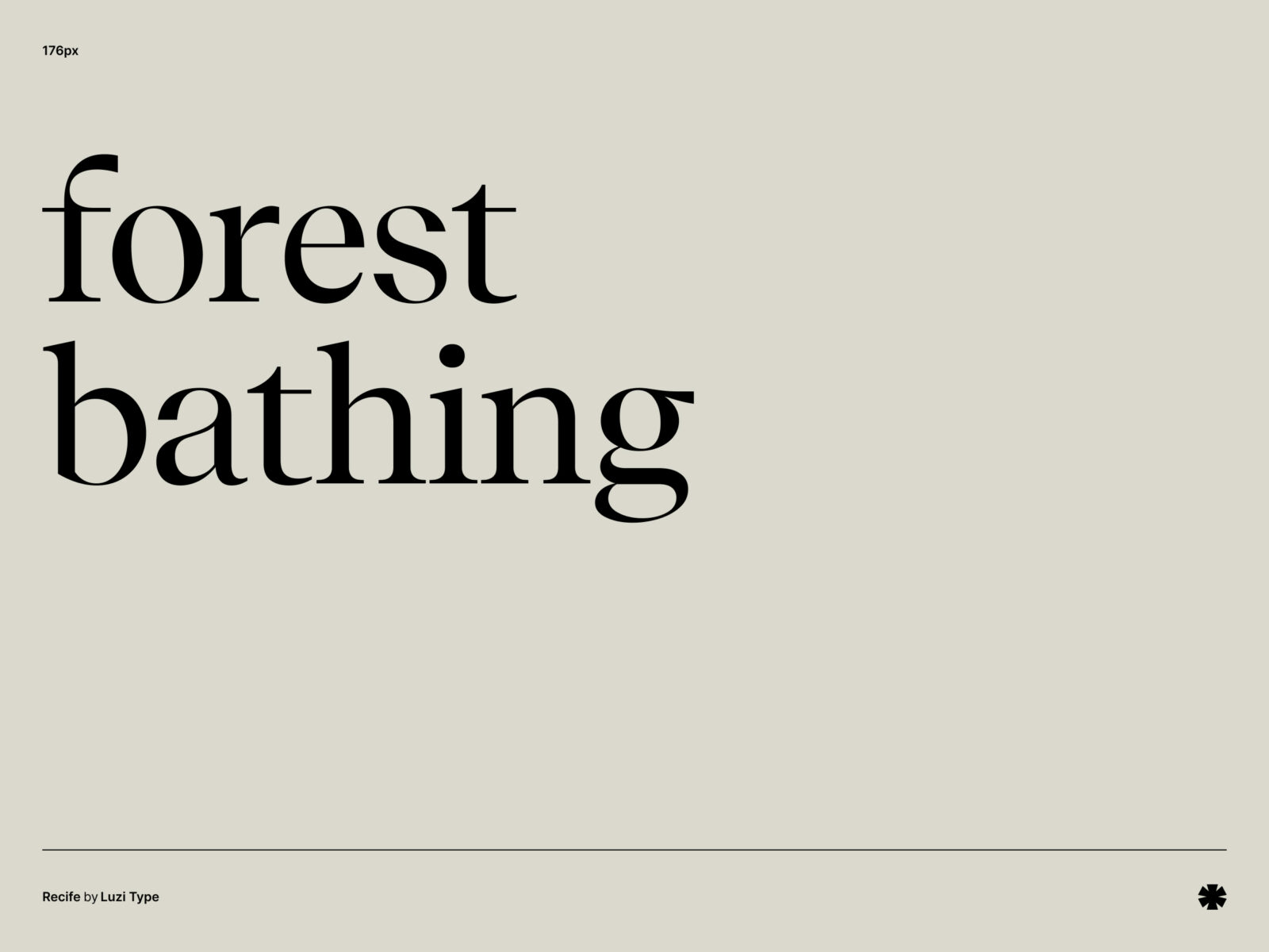 Luzi Type — Recife – Recife phrase