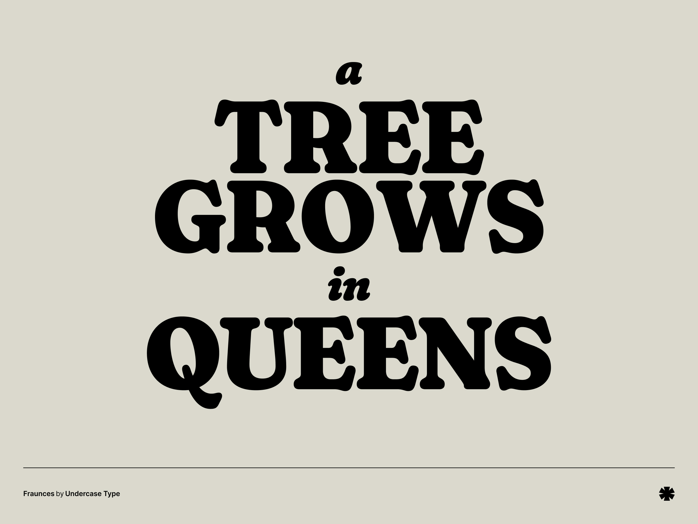 Fraunces - Fraunces creative