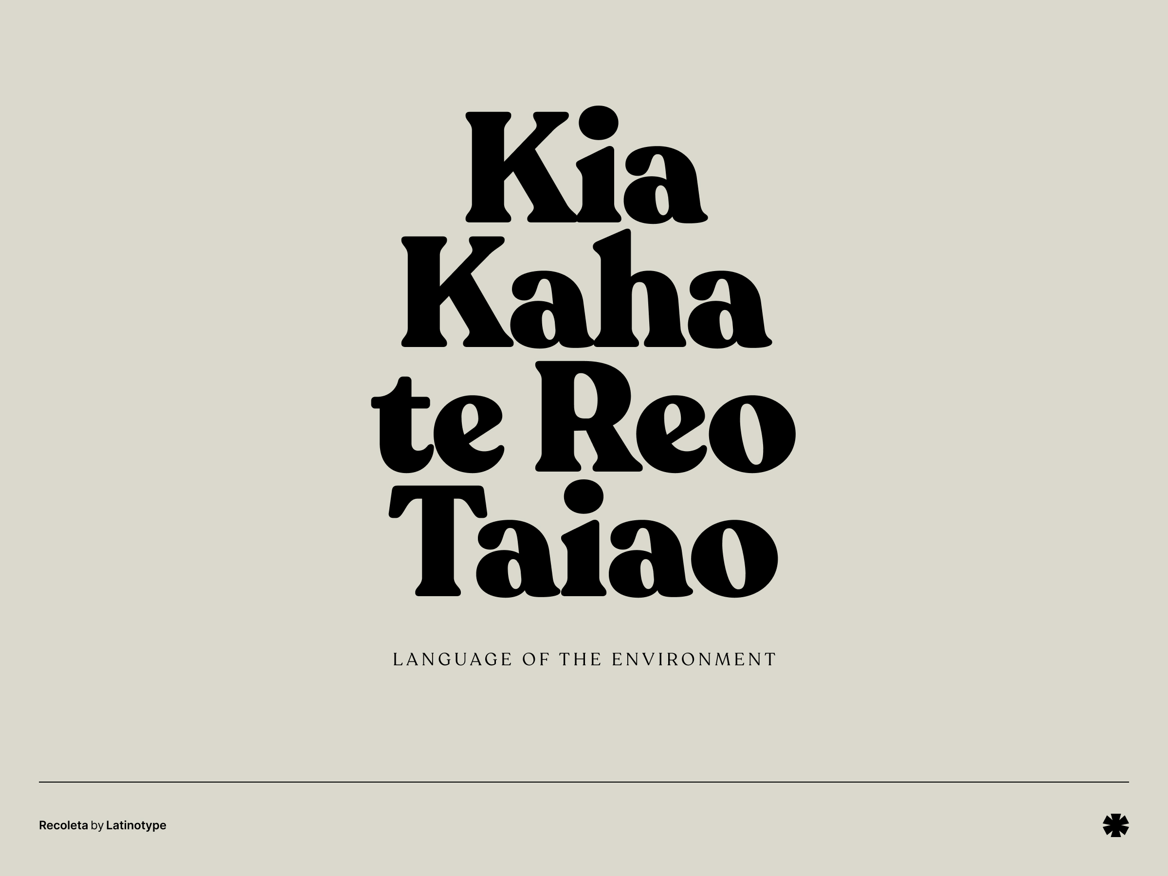 Recoleta - Recoleta creative