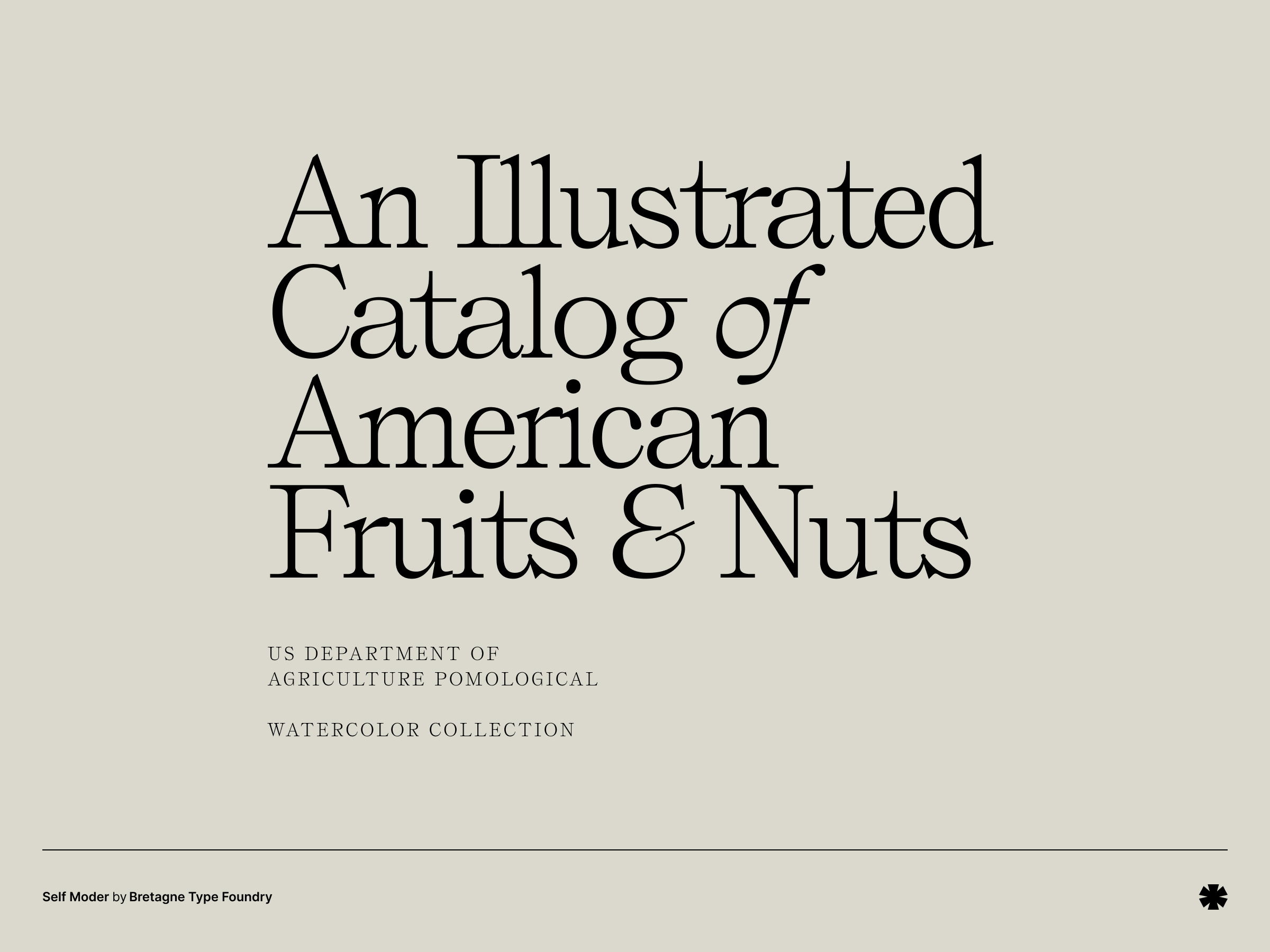 Self Modern - Self modern creative 1