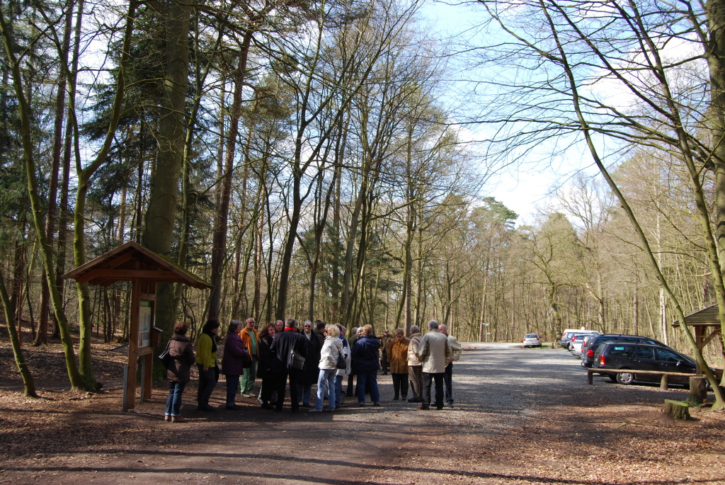 FriedWald - Scouttest - Erfahrungsberichte-Vorsorge