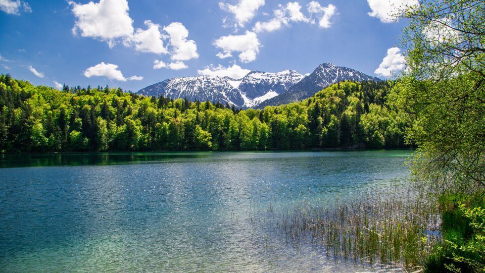 Algäu Portal Algäu Portal