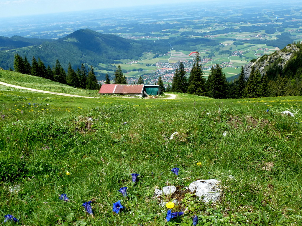 mutzje mutzje