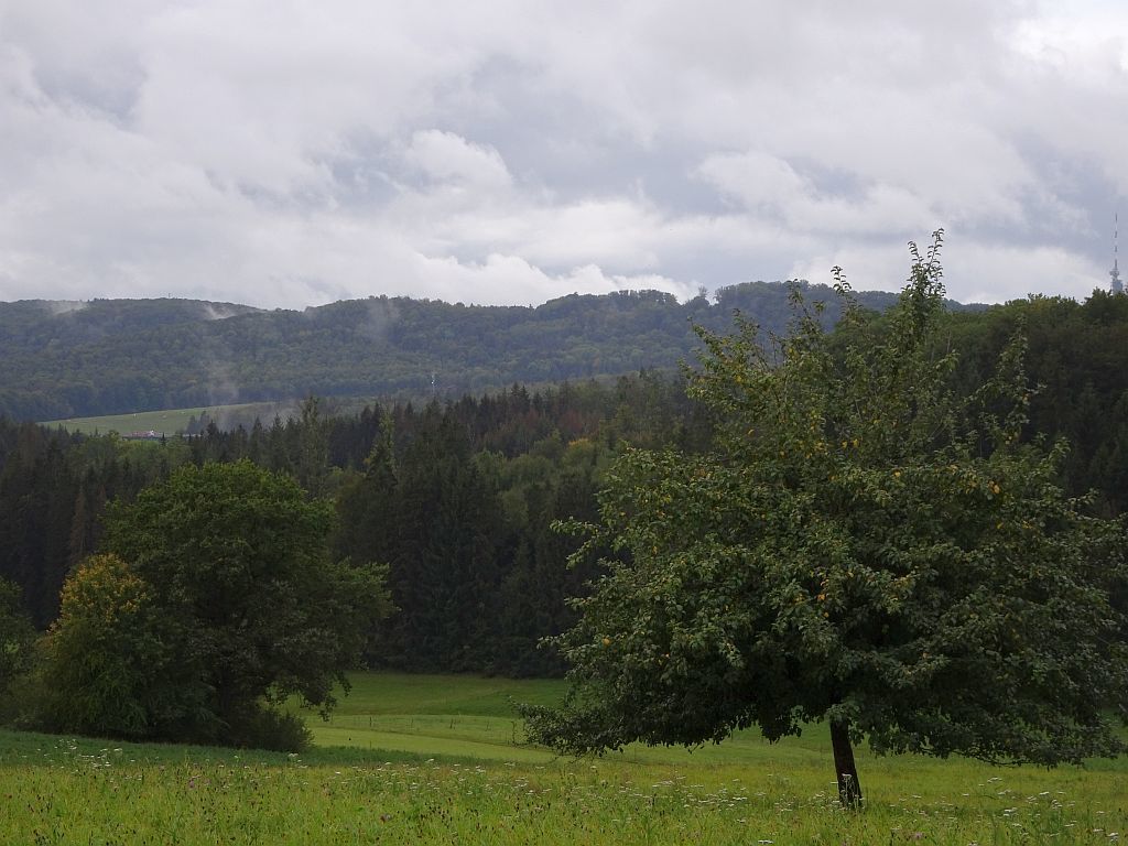 rö rö