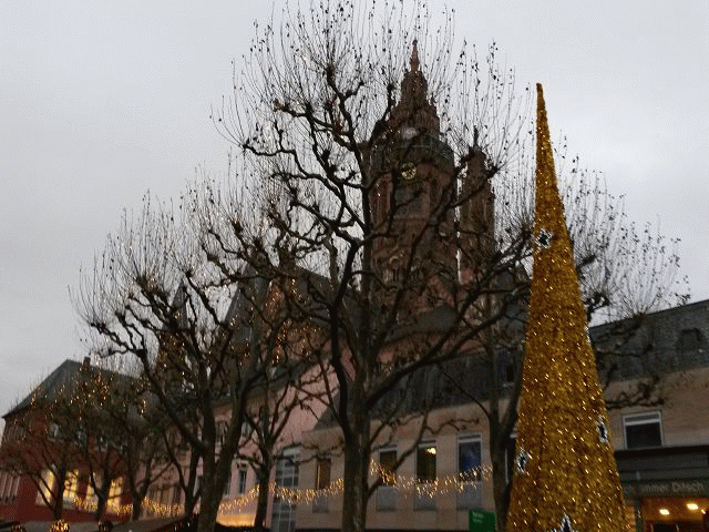 Mainz_Wechselbild_Rose56 Mainz_Wechselbild_Rose56