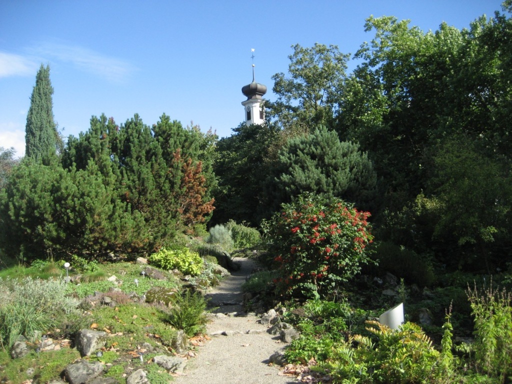 Botanischer Garten Botanischer Garten