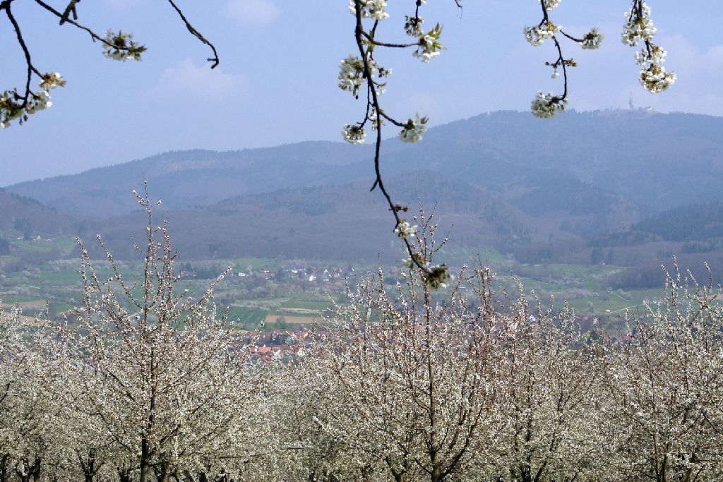 früh früh
