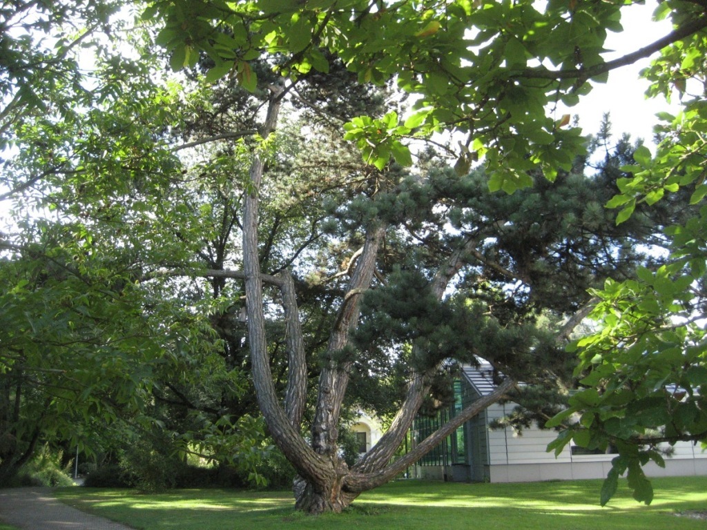 Botanischer Garten Botanischer Garten
