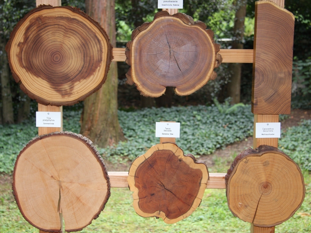Botanischer Garten Botanischer Garten