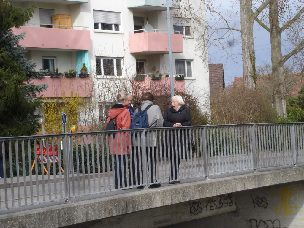 Schladerer 43 Schladerer 43
