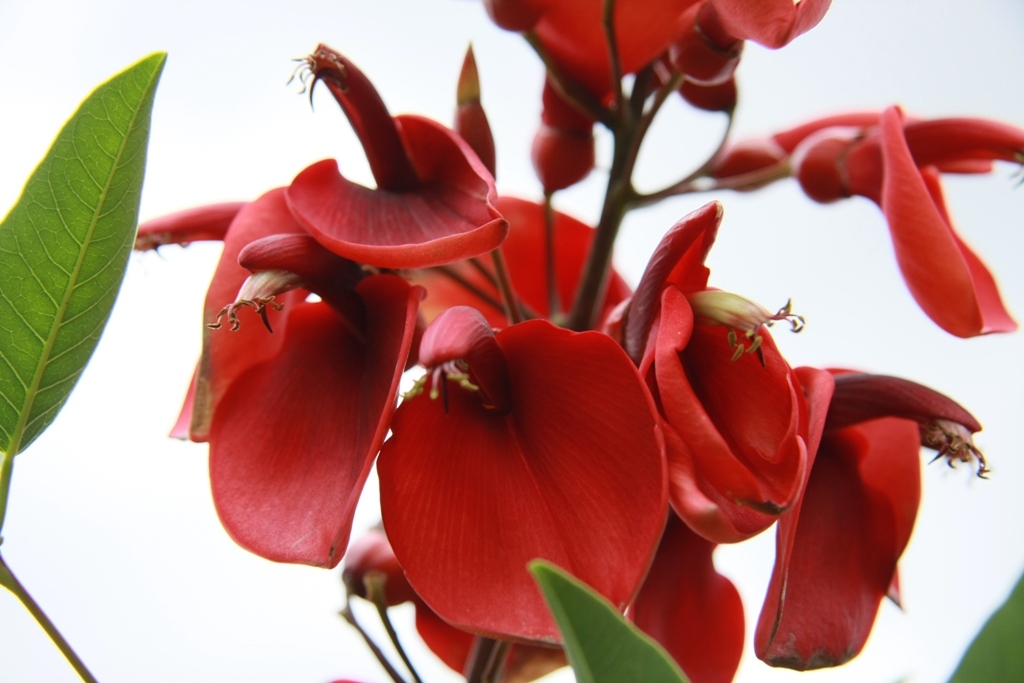 Botanischer Garten Botanischer Garten