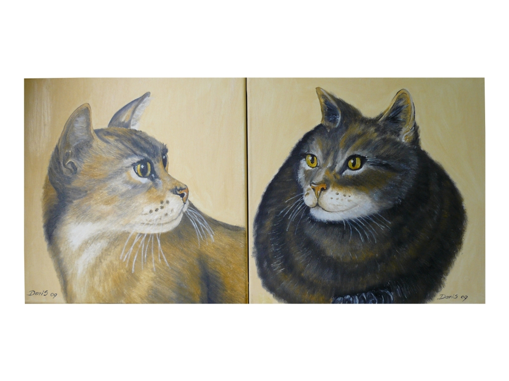Katzen- innen Katzen- innen