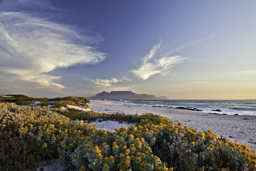 Blick auf Tafelberg in Südafrika vom Strand Blick auf Tafelberg in Südafrika vom Strand