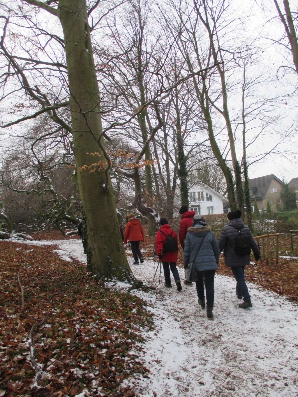 Bild 006 Bild 006