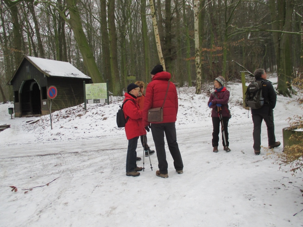 Bild 016 Bild 016