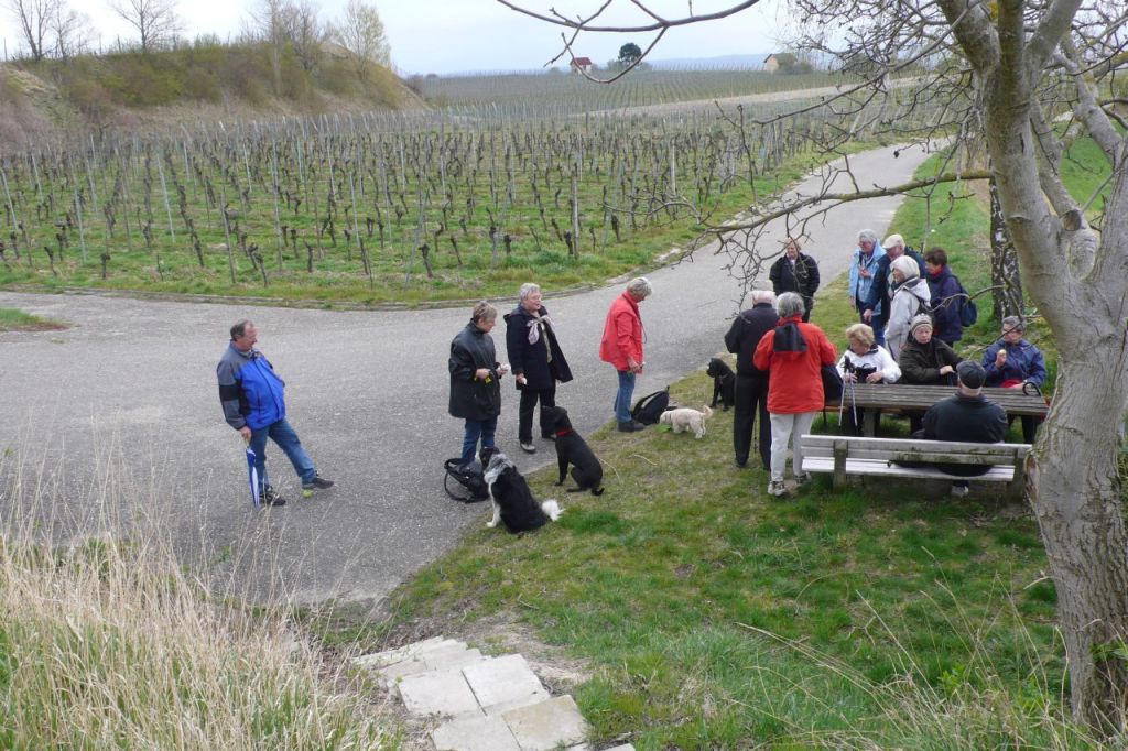 Wandern 9 Wandern 9