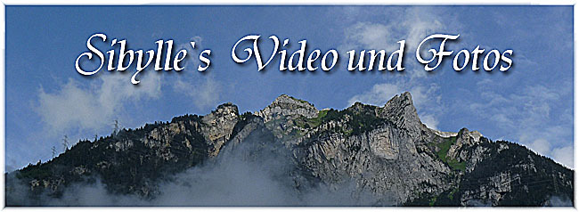video und foto2014_09_01a video und foto2014_09_01a